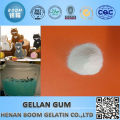 low price factory price gellan gum 71010-52-1